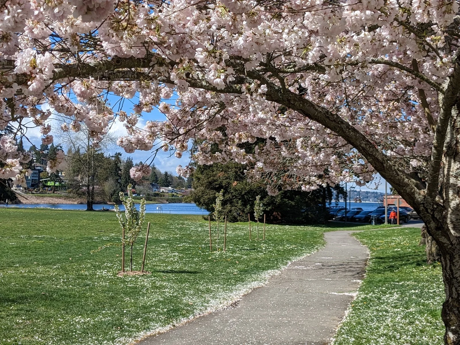 Seward Park
